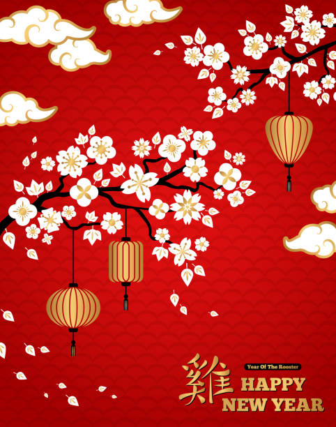 White Blooming Sakura Branches on Red Backdrop Chinese New Year Background. White Blooming Sakura Branches on Red Backdrop. Vector illustration. Asian Gold Lantern Lamps and Clouds. Hieroglyph Rooster blossom flower plum white stock illustrations