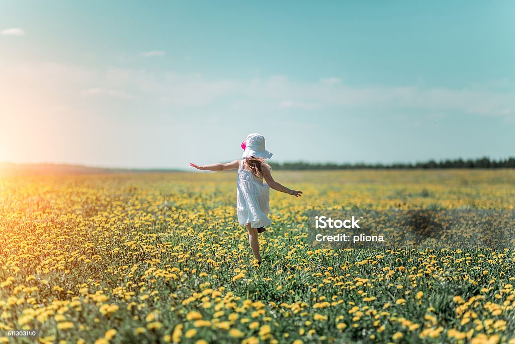 Niña En El Campo De Flores Foto de stock y más banco de imágenes de Primavera - Estación - Primavera - Estación, Niño, Flor - iStock Niña En El Campo De Flores Foto de stock y más banco de imágenes de Primavera - Estación - Primavera - Estación, Niño, Flor - iStock