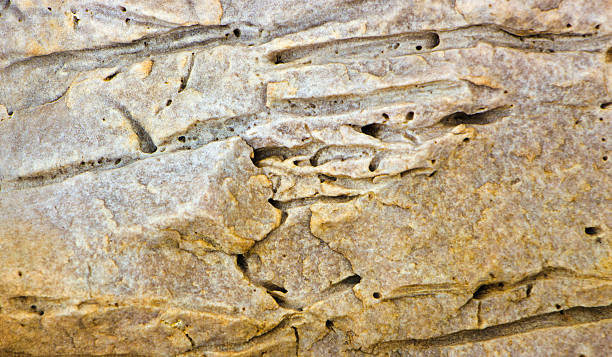 istock Tuff is a vulcanic stone.  close-up background texture 611305002