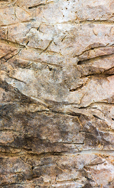 istock Tuff is a vulcanic stone.  close-up background texture 611305060