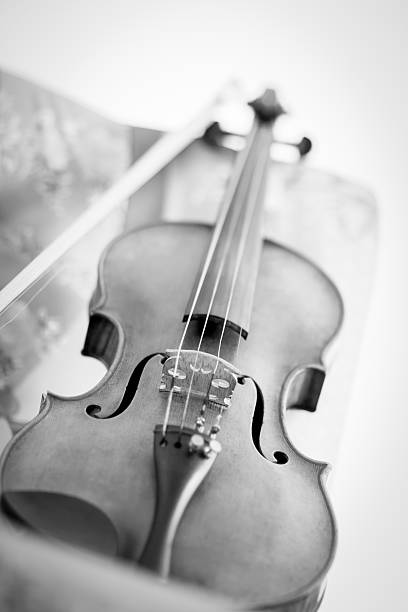 istock Black and White photo of a Violin 611308596
