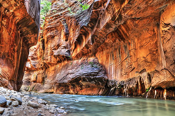 zion national park, utah - zion narrows stock-fotos und bilder