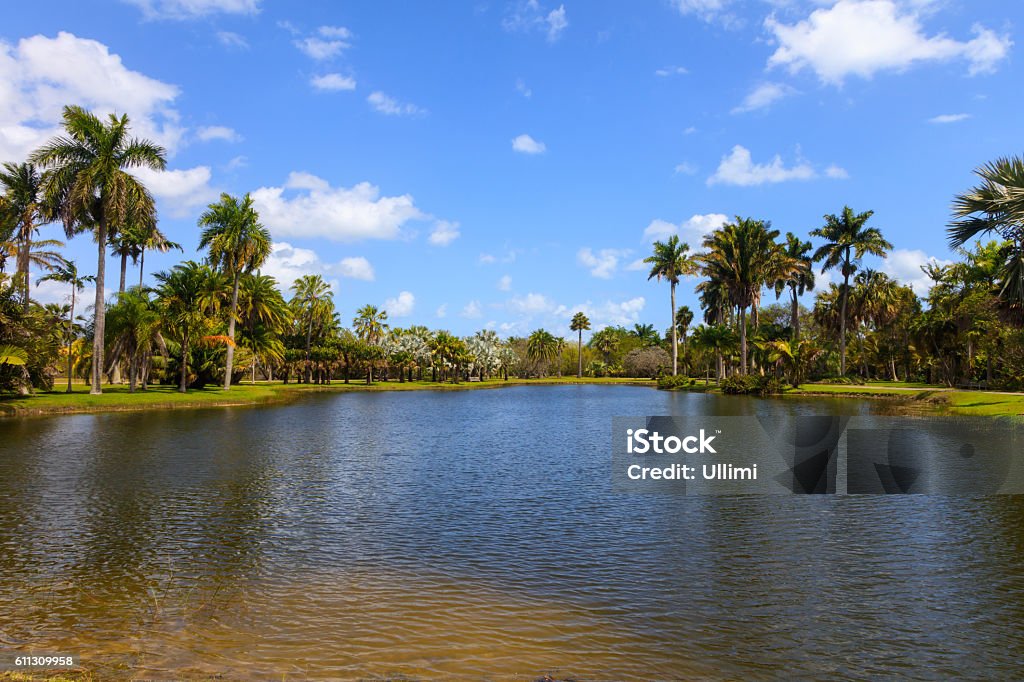Pond in Fairchild Tropical Botanic Garden, Florida, USA Blue Stock Photo