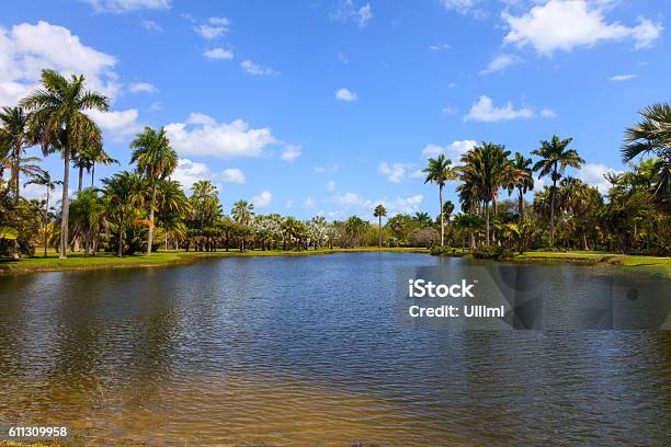 Pond In Fairchild Tropical Botanic Garden Florida Usa Stock Photo - Download Image Now