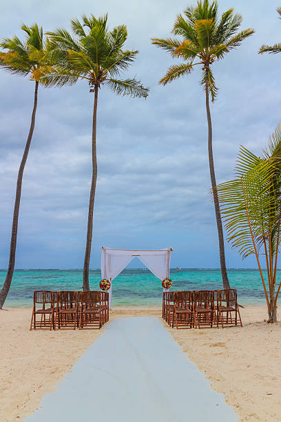 plaża bavaro w punta cana, dominikana - just sand zdjęcia i obrazy z banku zdjęć