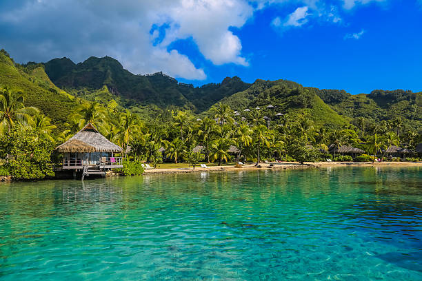 Moorea, French Polynesia Island of Moorea in the French Polynesia with her exuberant vegetation, turquoise lagoon, bungalow and mountains. french polynesia stock pictures, royalty-free photos & images