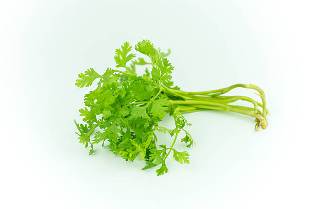 istock Green coriander isolation on a white background. 611311186
