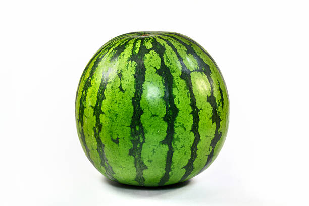 watermelon stock photo