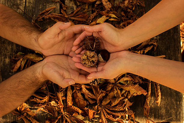 istock Giving pinecone on a wooden table 611311864