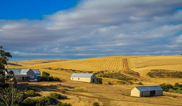 istock Farmland and golden fields 611313188
