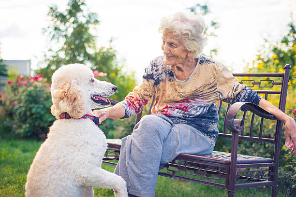 istock Senior woman playing with dog 611313450