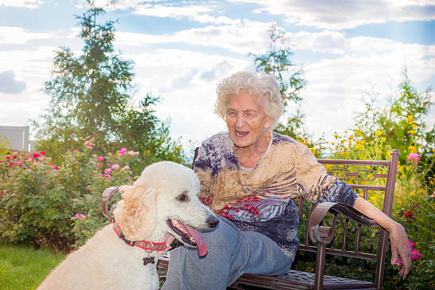 istock Senior woman playing with dog 611313514