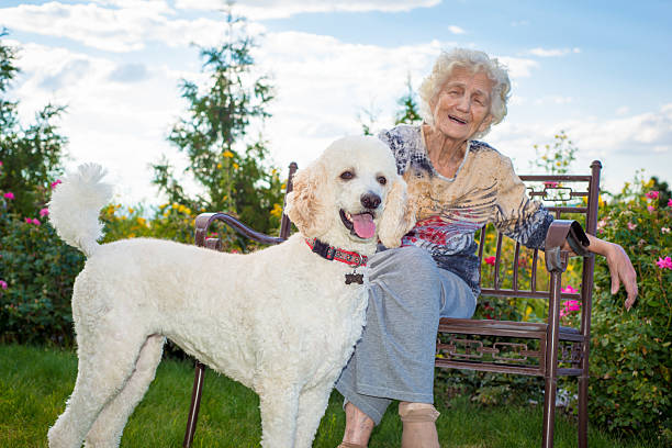 istock Senior woman playing with dog 611313548