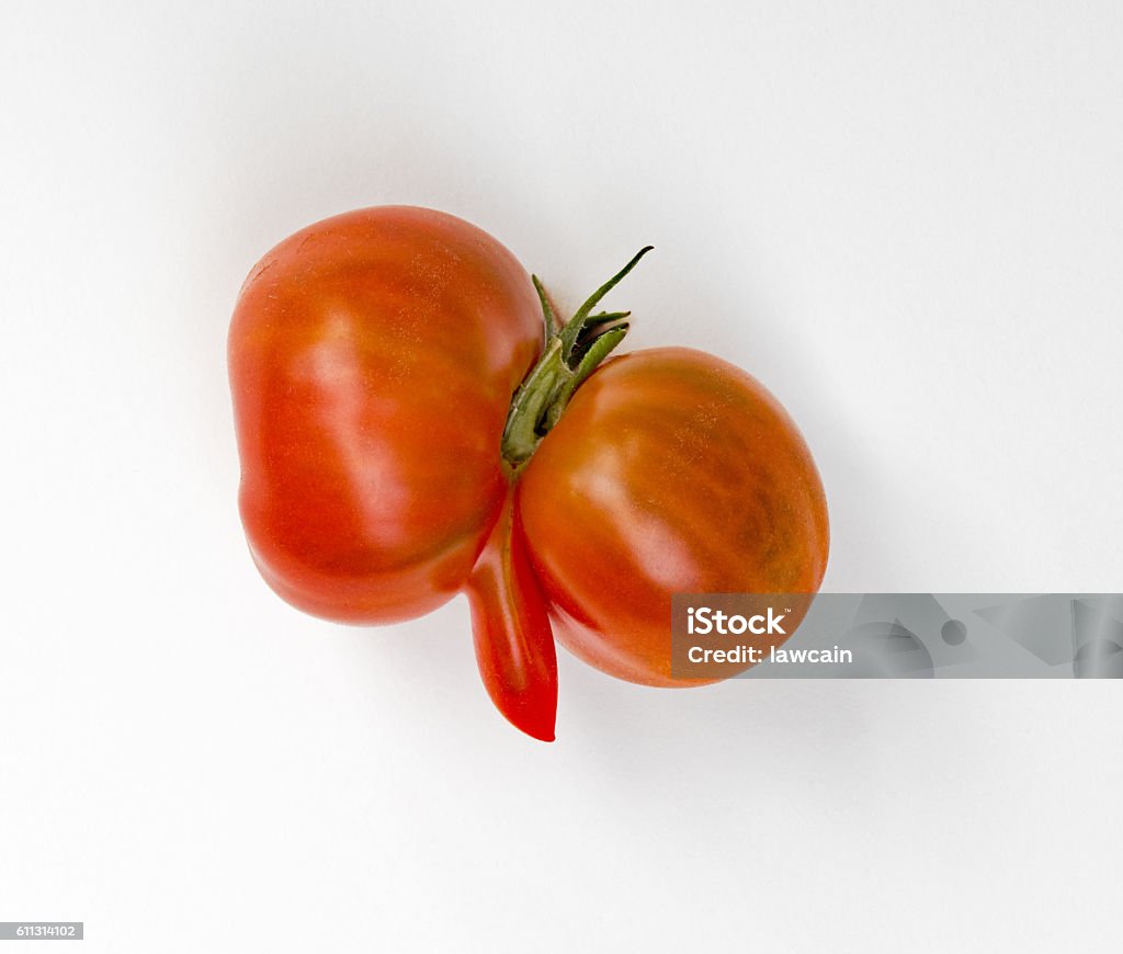 Aberrant Tomato Two red tomatoes grown together with third appendage. Imbalance Stock Photo