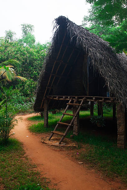 istock Tropical village at sunrise 611315368