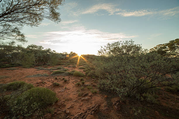 beau soleil se couchant dans l’outback australien - australia nature kings canyon northern territory photos et images de collection