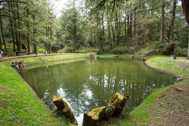 istock Two Sistes Pond history of love 611316414