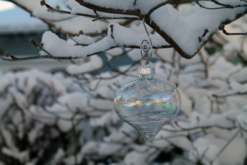 Irridescent Glass Christmas Ornament Hanging on a Snow-Covered Tree Branch