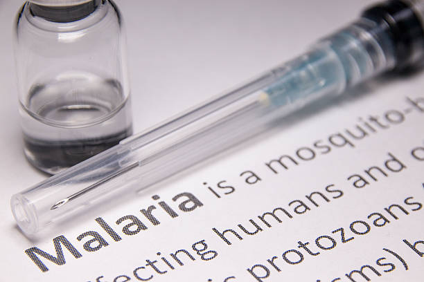 malaria - malaria 뉴스 사진 이미지