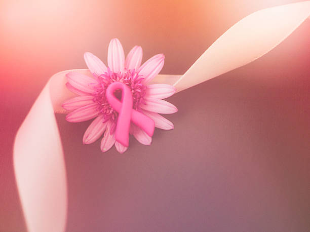 ruban sensibilisation au cancer du sein avec fleur rose sur fond de tableau noir - soft pink flash photos et images de collection