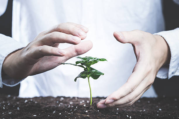 istock hands of man that grow plants 611318714