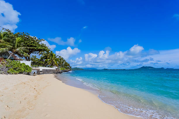 istock Lanikai in Oahu Island 611324062