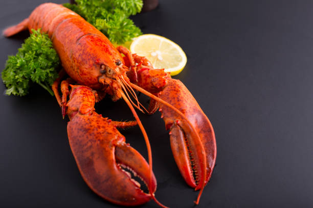 istock Canadian lobster food 611326702
