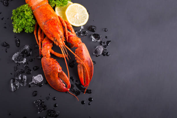 istock Canadian lobster food 611326752