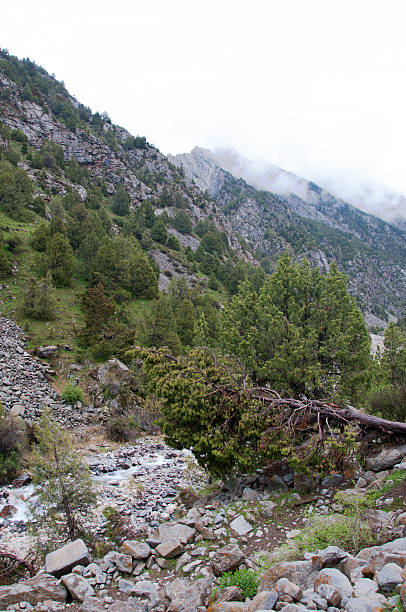 istock Gorge view Dugoba in Kyrgyzstan 611329594