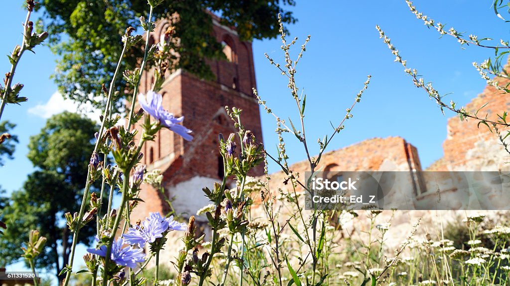 Fiori selvatici sullo sfondo della chiesa distrutta di Almenhausen - Foto stock royalty-free di Architettura
