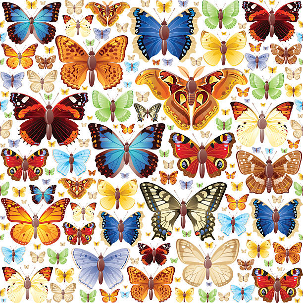 butterlies zestaw ikon - fritillary butterfly butterfly insect lepidoptera stock illustrations