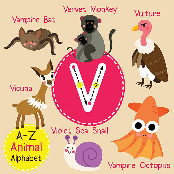  Letra V Vulture Ilustraciones, gráficos vectoriales libres de derechos y clip art