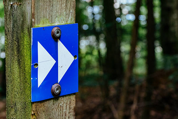 istock Close-Up Of Arrow Sign On Tree Trunk 611477521