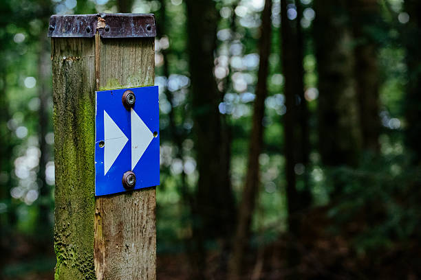 istock Close-Up Of Arrow Sign On Tree Trunk 611477523