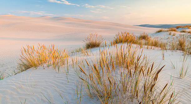istock beautiful view of the coastal dunes 611590034