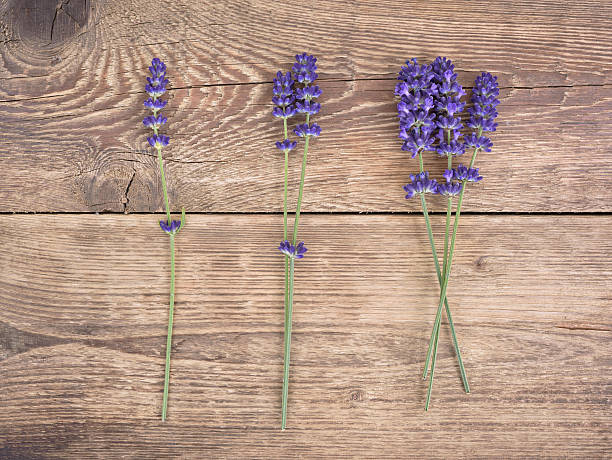 istock Lavender on rustic wooden background. Top view. 611592762