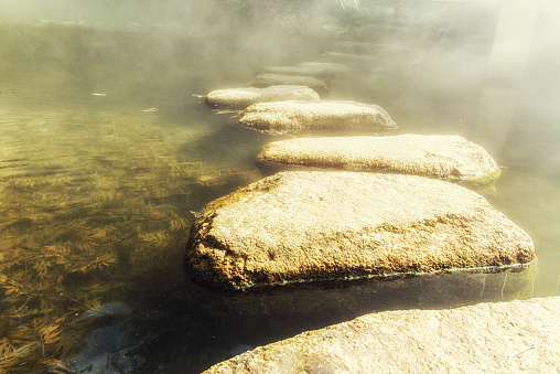 Misty Stone path in zen garden