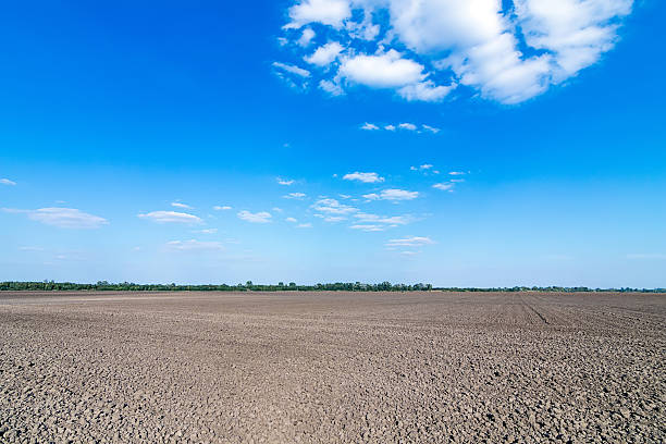 istock Farmland plowed and prepared for cultivation 611594116