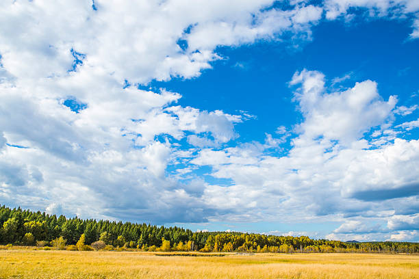 paisagem da pradaria - prairie wide landscape sky imagens e fotografias de stock