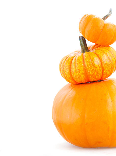 istock Pile of pumpkins 611602346