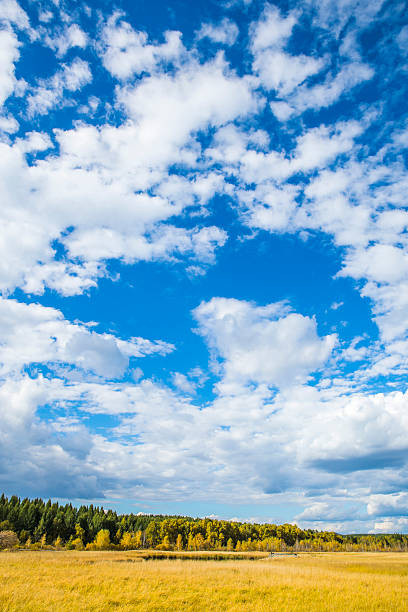 paisagem da pradaria - prairie wide landscape sky imagens e fotografias de stock