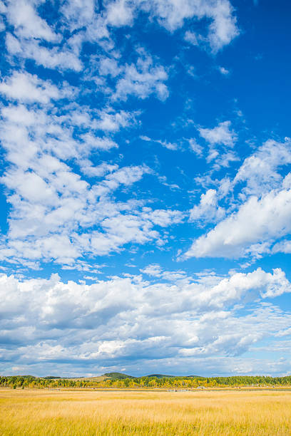 paisagem da pradaria - prairie wide landscape sky imagens e fotografias de stock