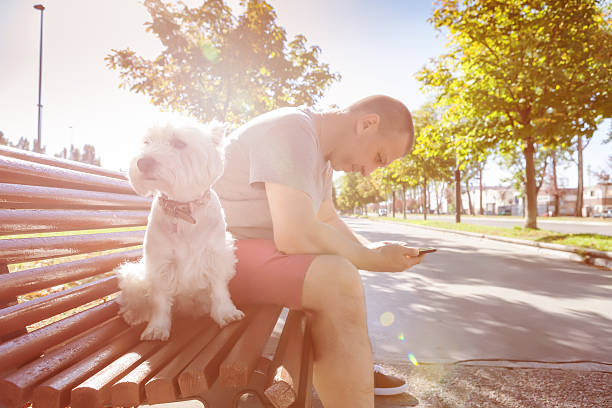 istock Man with the dog on the bench reading smartphone 611604158