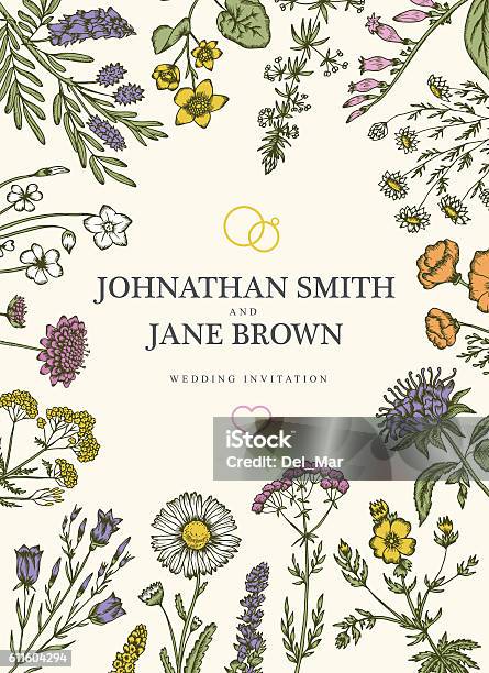 Wedding Invitation In Boho Style Wild Flowers And Herbs Frame Stock Illustration - Download Image Now