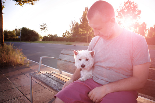 Man with westie on the bench