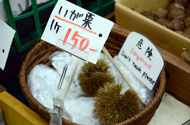 istock Sea Urchins for Sale 611605624