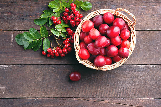istock Plums in a basket and rowanberry 611605678