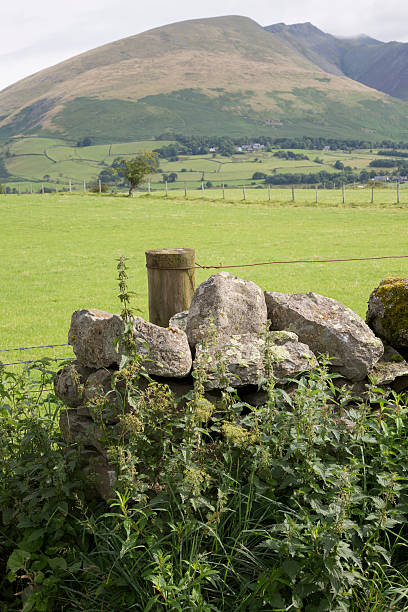 istock Valley outside Keswick; Lake District 611607604