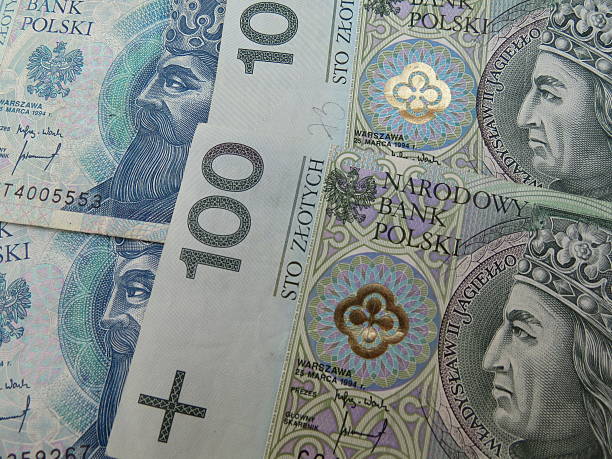 istock Polish zloty banknotes and coins 611607716