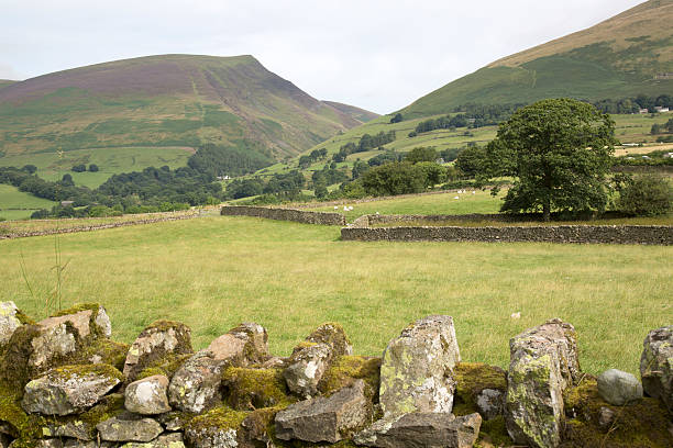 istock Valley outside Keswick; Lake District; England 611607806
